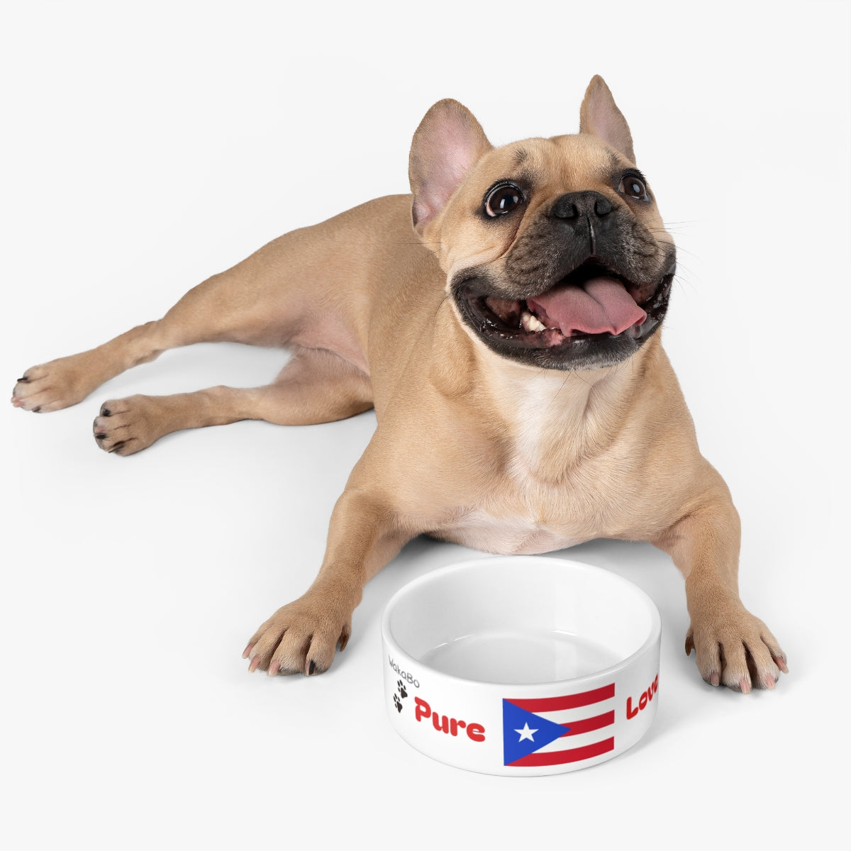 Pure Love Pet Bowl with Puerto Rican Flag