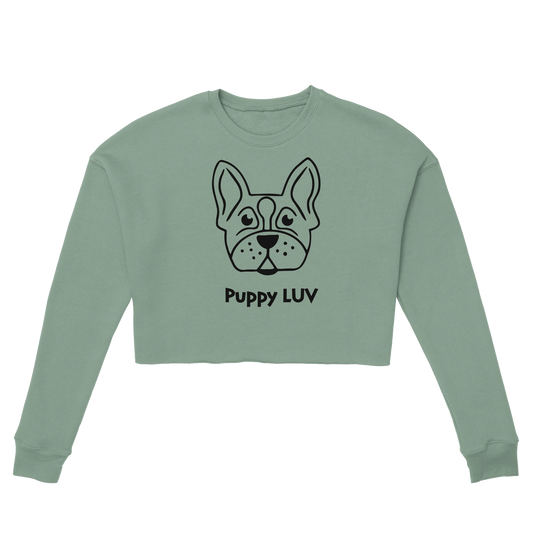 c8bfa7b5-7cb6-4847-8575-d08dc1770755